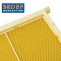 Arıcı PetekPLASTİK HAZIR KABARTILMIŞ PETEKLİ ÇERÇEVE (İŞÇİ ARI- LANGSTROTH) 483X232MM